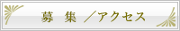 ���m�点�^�A�N�Z�X
